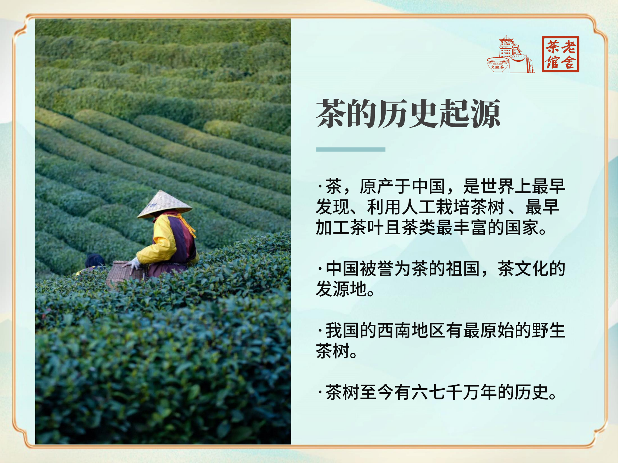走近中国茶(2)_03.png